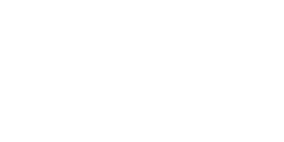 לוגו חברת Raz Yona, סטודיו יונה לבניית ועיצוב אתרים.