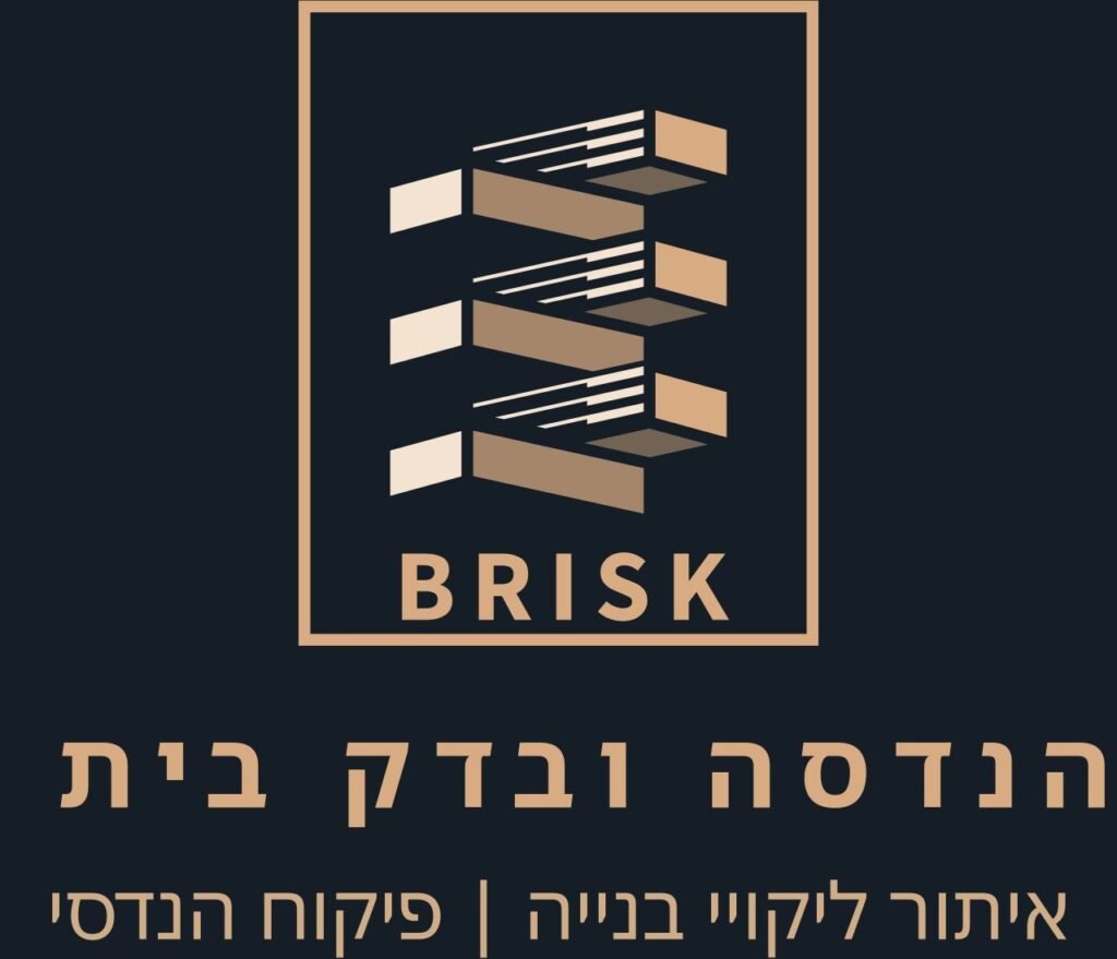 לוגו BRISK - בריסק הנדסה ובדק בית מקצועי