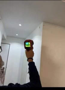 בדיקה תרמוגרפית